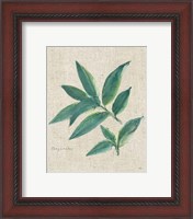 Framed 'Bay Leaf on Burlap' border=