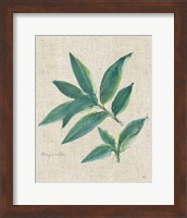 Framed 'Bay Leaf on Burlap' border=