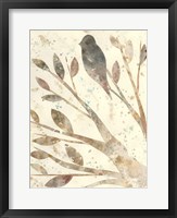 Natural Wonder II Framed Print