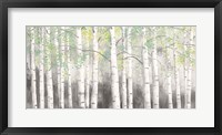 Framed Soft Birches Charcoal