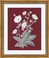 Framed 'Pomegranate Botanical VI' border=