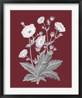 Framed 'Pomegranate Botanical VI' border=