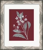 Framed 'Pomegranate Botanical V' border=