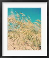 Framed Sea Oats