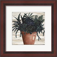 Framed 'Remarkable Succulents III' border=