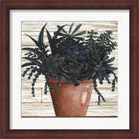 Framed 'Remarkable Succulents III' border=