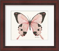 Framed 'Butterfly 1' border=