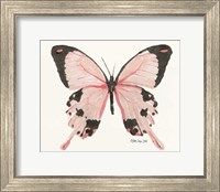 Framed 'Butterfly 1' border=