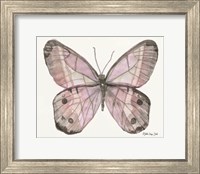 Framed 'Butterfly 5' border=