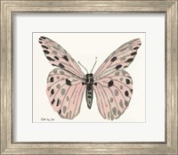 Framed 'Butterfly 6' border=