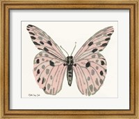 Framed 'Butterfly 6' border=