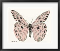 Butterfly 6 Framed Print
