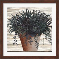 Framed 'Remarkable Succulents I' border=