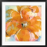 Amber Wash II Framed Print