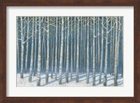 Framed Shimmering Birches