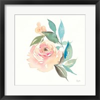 Framed Watercolor Blossom II