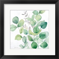 Eucalyptus Leaves I Framed Print