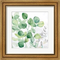 Framed 'Eucalyptus Leaves II' border=