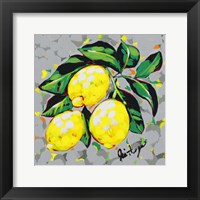 Fruit Sketch Lemons Framed Print