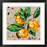 Framed 'Fruit Sketch Oranges' border=