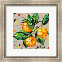 Framed 'Fruit Sketch Oranges' border=