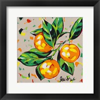 Framed 'Fruit Sketch Oranges' border=