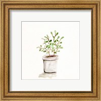 Framed 'Potted Botanicals I' border=