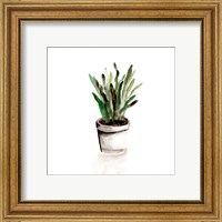 Framed 'Potted Botanicals III' border=