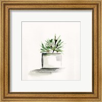 Framed 'Potted Botanicals IV' border=