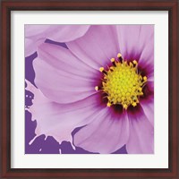 Framed 'Flower Pop III' border=