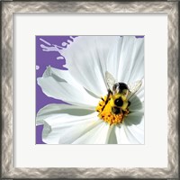 Framed 'Flower Pop IV' border=