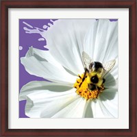 Framed 'Flower Pop IV' border=