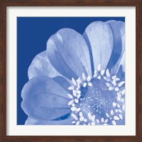 Framed Flower Pop blue I