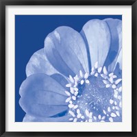 Framed 'Flower Pop blue I' border=