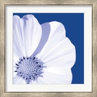 Framed 'Flower Pop blue III' border=