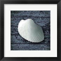 Framed Seashore Shells Navy I