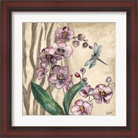 Framed 'Boho Orchid & Dragonfly I' border=