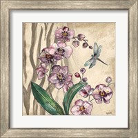 Framed 'Boho Orchid & Dragonfly I' border=