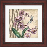 Framed 'Boho Orchid & Dragonfly I' border=