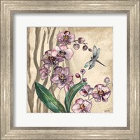 Framed 'Boho Orchid & Dragonfly I' border=