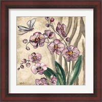 Framed 'Boho Orchid & Dragonfly II' border=