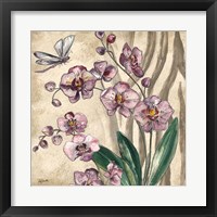 Framed 'Boho Orchid & Dragonfly II' border=