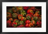 Framed Red Peppers