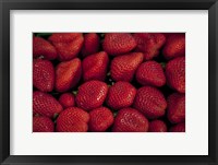 Framed Strawberries