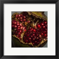 Framed Pomegranate