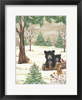 Framed Bears & Bunnies