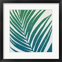 Tropical Treasures III Blue Green Framed Print