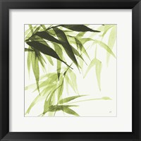 Framed Bamboo IV Green