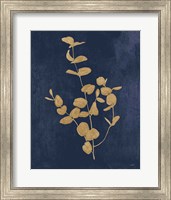 Framed 'Botanical Study II Gold Navy' border=