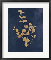 Framed 'Botanical Study II Gold Navy' border=